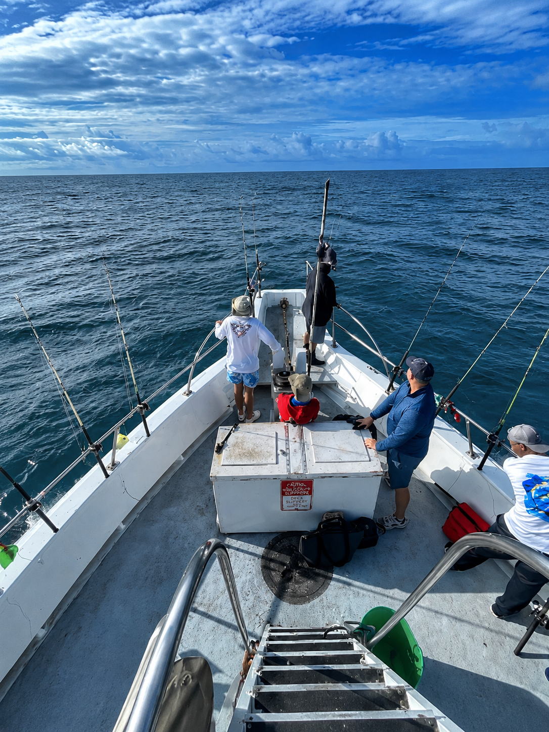 Pesca professionale